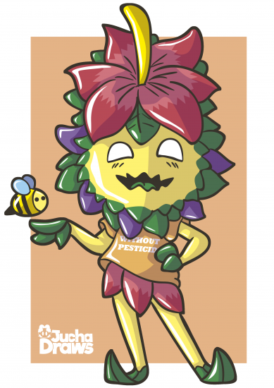 5d0aad61ab53d_wormwoodflorido.thumb.png.0a740a83cc78875215479c003925a594.png