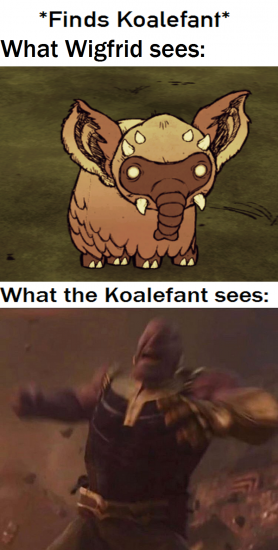 koalefant meme.png