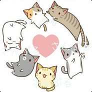 Emilijacatcat
