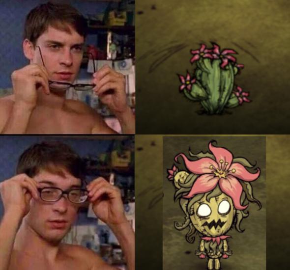 CactusWood.jpg