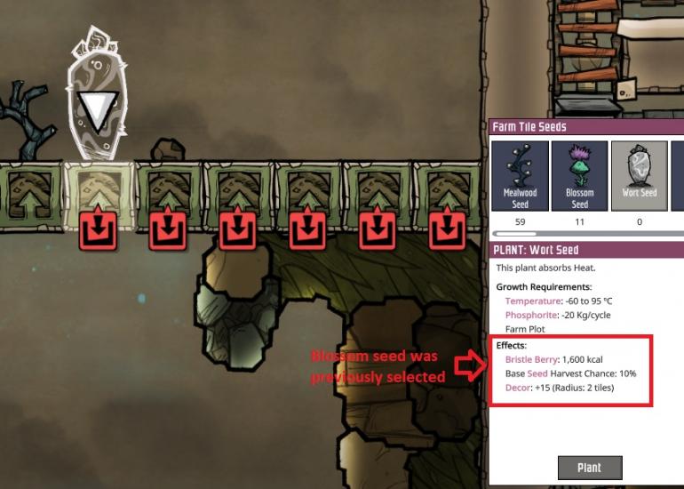 wheezewort bug.jpg