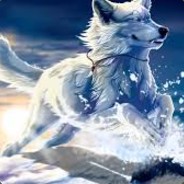 _WHITE_44_WOLF_