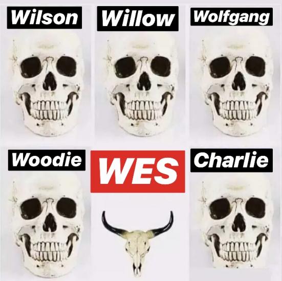IMG_7251.PNG