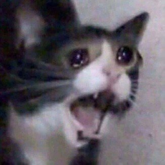 catsad.jpg.2f62755587250f9053676582bdd01fa9.jpg