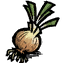 quagmire_onion.png.7eb481601ab502772d60ccc19431379f.png