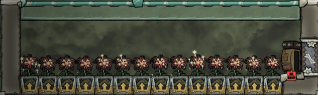 sporechidfarmwithoutblockedsporechids.PNG.f9a764aced901d7803d92d4bd1f85cf5.PNG