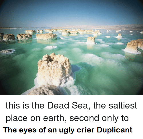 this-is-the-dead-sea-the-saltiest-place-on-earth-3051346.png.7d9c2f4eaf756f8905ceb4bc389ceb3a.png