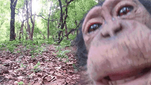 tumblr_pobvz8bmTw1qzvn28_1280.gif.73886ff0115dba4c11f0ec54cf8e080a.gif