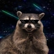 AssassinRaccoon