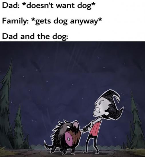 2IgyDBYdlxw.jpg