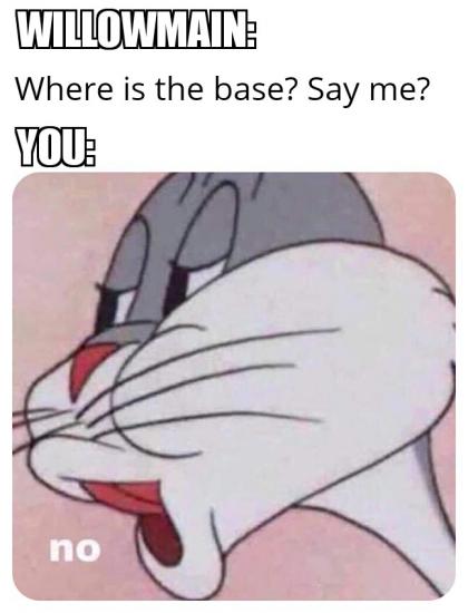 Bunnys No 13082019212417.jpg