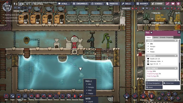 Fish feeder.jpg
