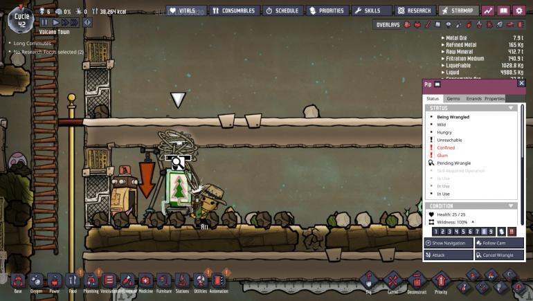 pip floor 1.jpg