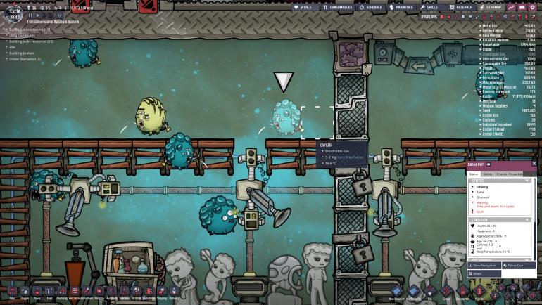 Dense Puft Eating.jpg