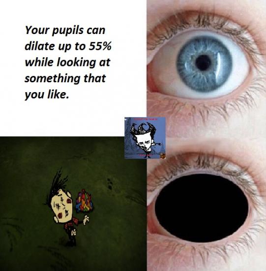longest pupil.jpg