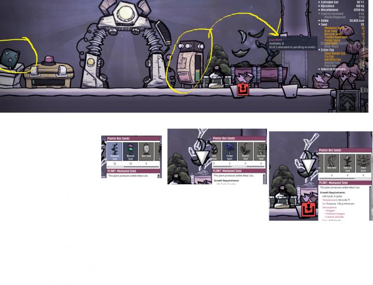 noJoyaPlant.jpg