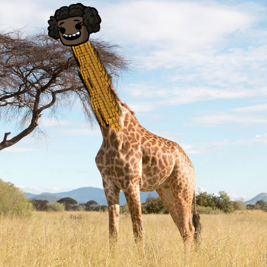 um.png