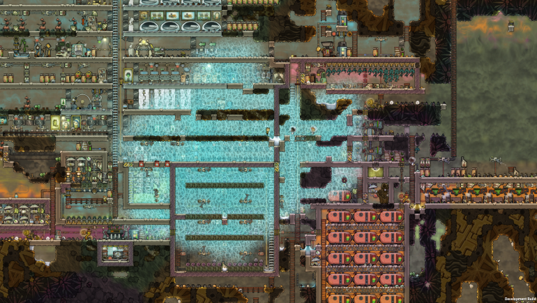 visual bug.png