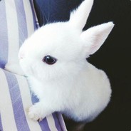 maxlvrabbit