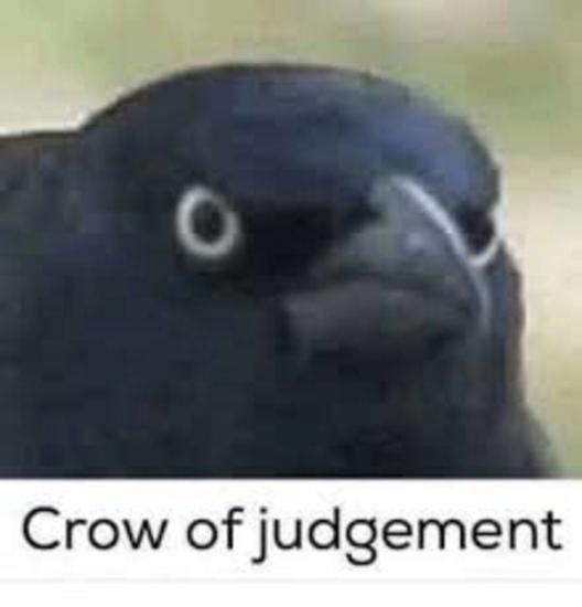 5d9b6126752ca_Crowofjudgement.thumb.jpg.7bf59f8a00c50a3394000b69bdf5cc2c.jpg