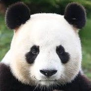 AWPanda