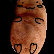 potato cat