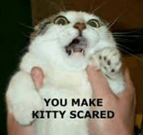 youmakekittyscared.png.7577643f13255a5f1593db65290ac520.png