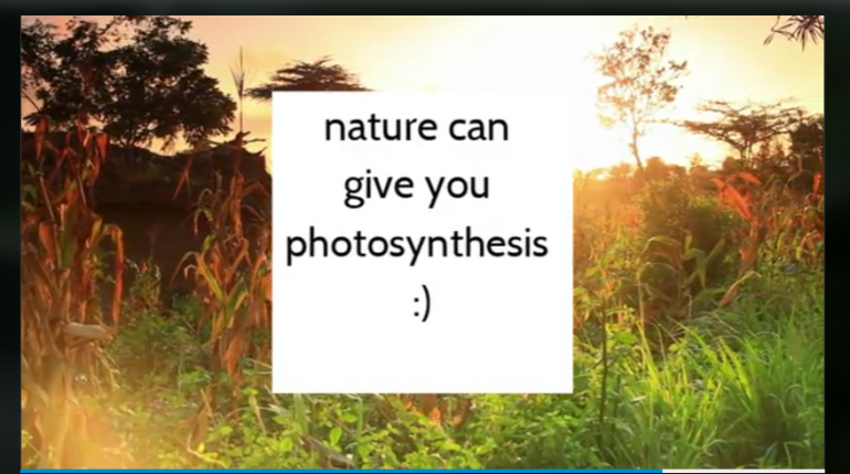 Screenshot 2019-11-26 at 11.02.51 AM.png