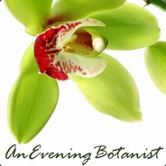 AnEveningBotanist