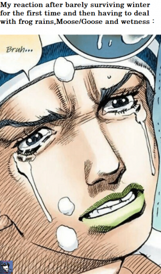bruh.png
