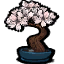 cherry_bonzai_large_white.png.12ed2b3bb75a226ec2658ebe0a30ce46.png