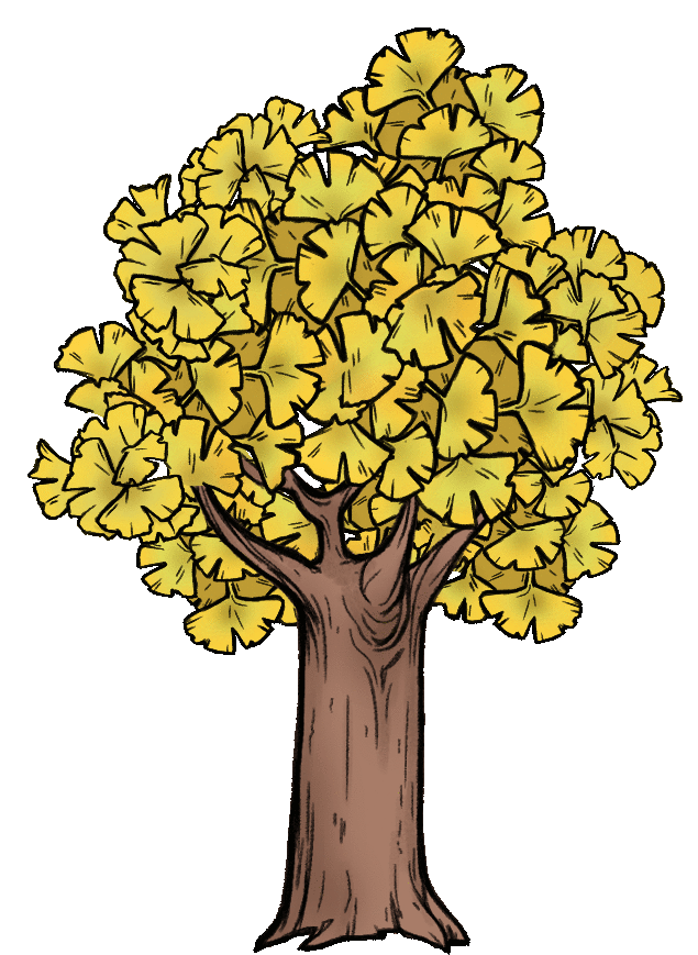 flora_ginko.thumb.gif.dac393c383c74068bd332358b119bc8c.gif