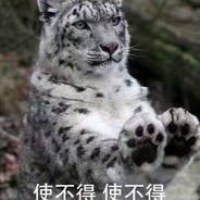 QuanJieSHI