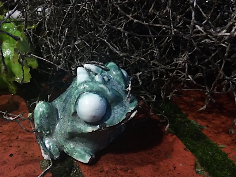 CeramicFrog11.thumb.jpg.77874dd9c520c28b4d4296d7e8db2dd1.jpg