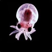 Squids