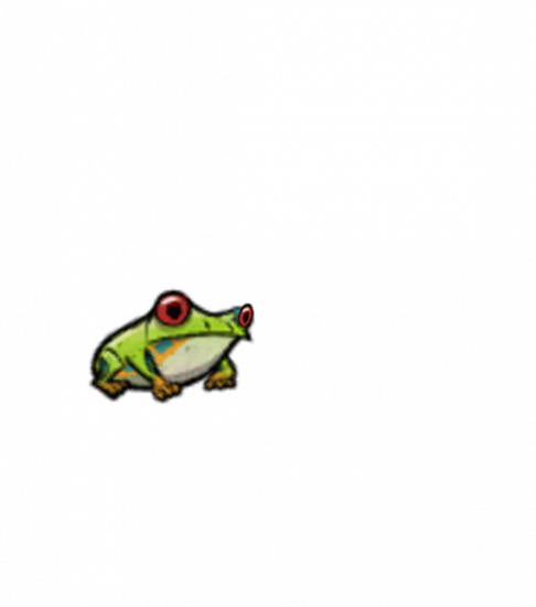 frog_treefrog_water_side.thumb.png.02cc4b1cbcac4853eefe61977b71e40e.png