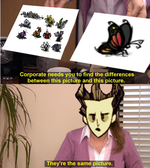 2h6pgx.png