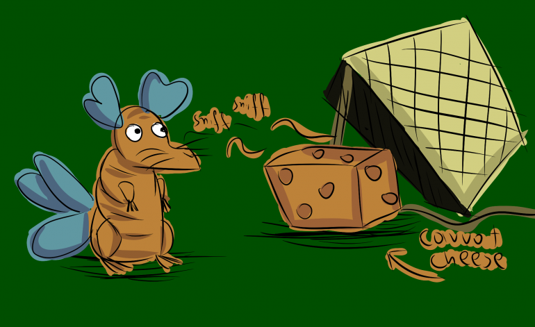5e39baf507677_carrotcheese.thumb.png.08e3c06bc89b4525900c4c0e2f4065bb.png