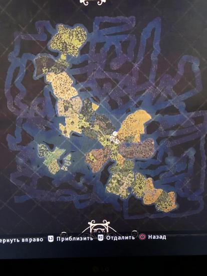 CA03F267-F79A-4480-B1F3-2B4376E5622C.jpeg