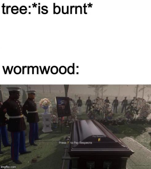 F3DAAF8D-8EF3-4067-846C-745BE870605A.jpeg