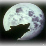 Wolfschadowe
