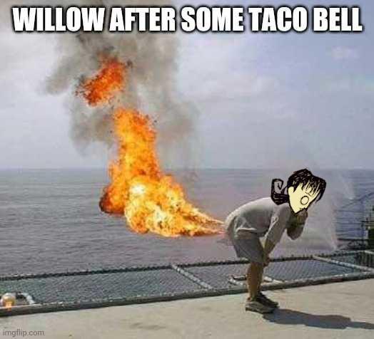 taco_bell_willow.jpg.3f4444cab321774d61e6628b0033939a.jpg