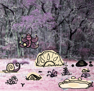 image.png.e08abd715c42d5ec4c66962571207a65.png