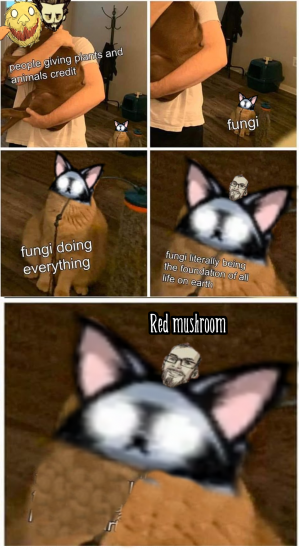 um.png