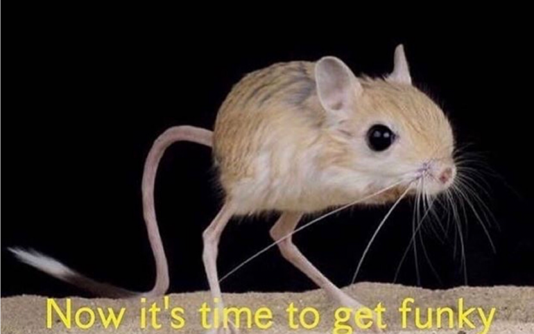 158927396_IMG__.thumb.png.c81fa696551d56eb8871d32f4dd1fba1.png
