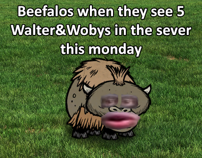 1755462776_1571043336_stinkybeef.png.481626bc9a56cd275ae70b62082045c4.png