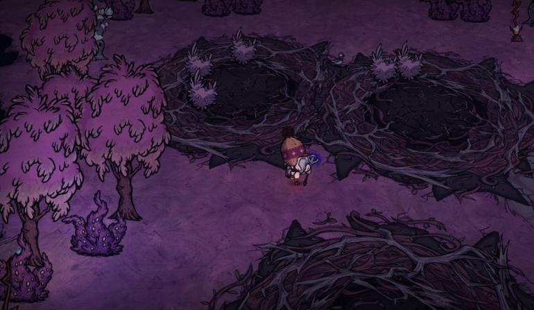 BIRD GARDEN SCREENSHOT 2.JPG