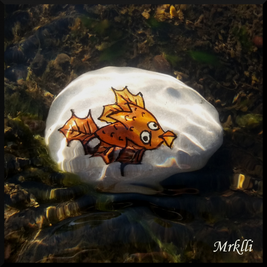 Fish1.thumb.png.1bb16990e70fb20a493c6972c1c2c439.png