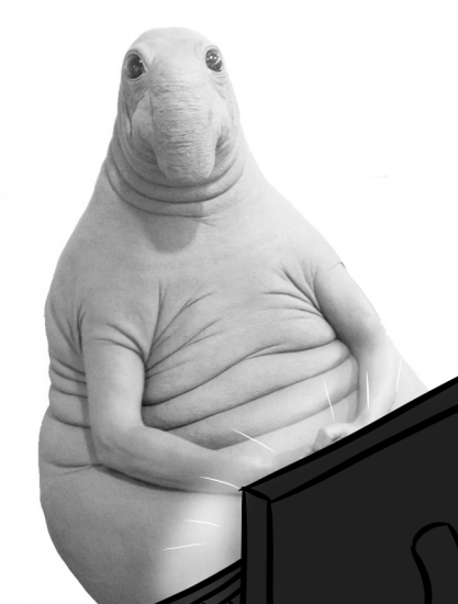 image.thumb.png.45aad024df6834b48381df3b7a8ca077.png