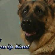 ferdiartrk